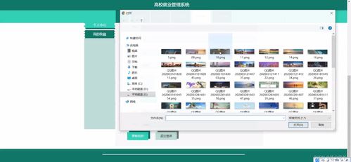 基于SSM框架的高校就业管理系统设计与实现